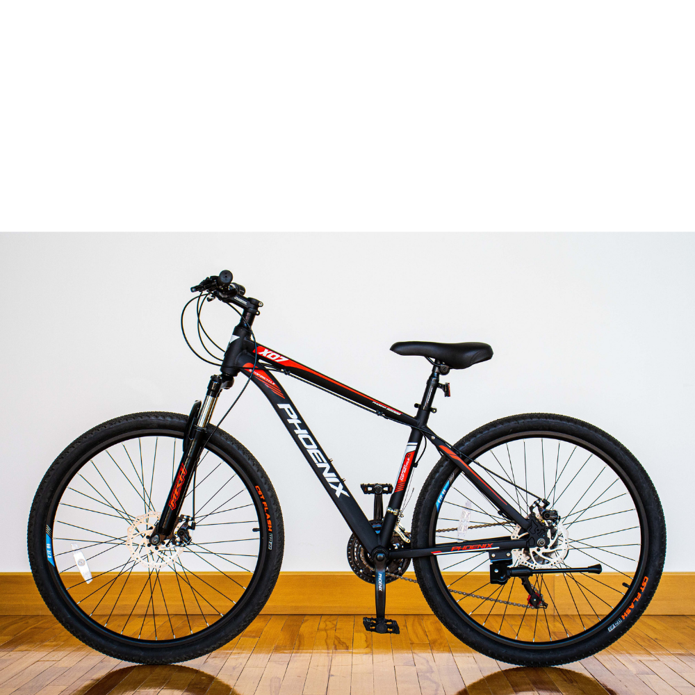 Phoenix cycle price hot sale list