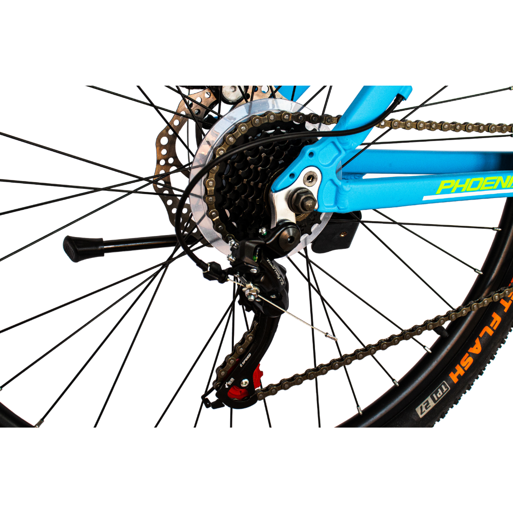 Phoenix bike website best sale